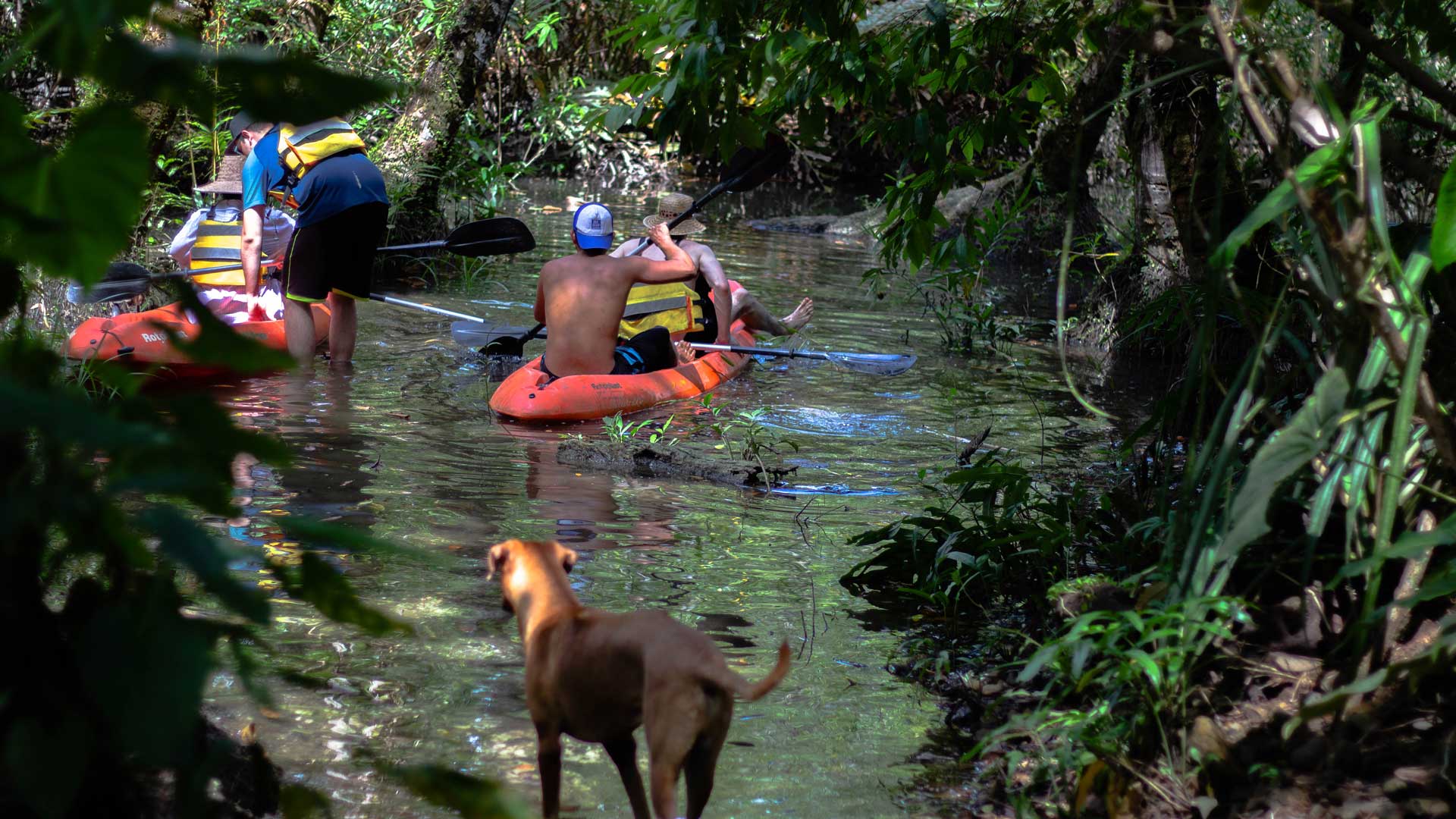 Juandediosplaya-Voluntariado-Kayak-manglar-Ecolodge